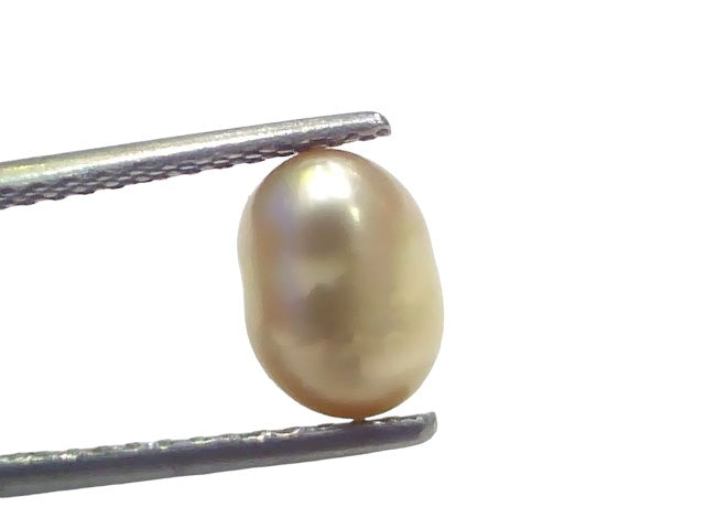 2.93 Ct Certified Natural Venunjula Real Sea Pearl Real Moti For Moon