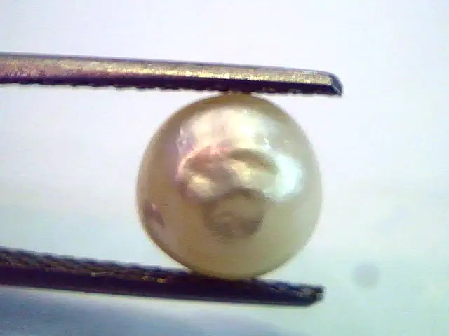 2.95 Ct Natural Venunjula Real Pearl/Moti Certified No culture