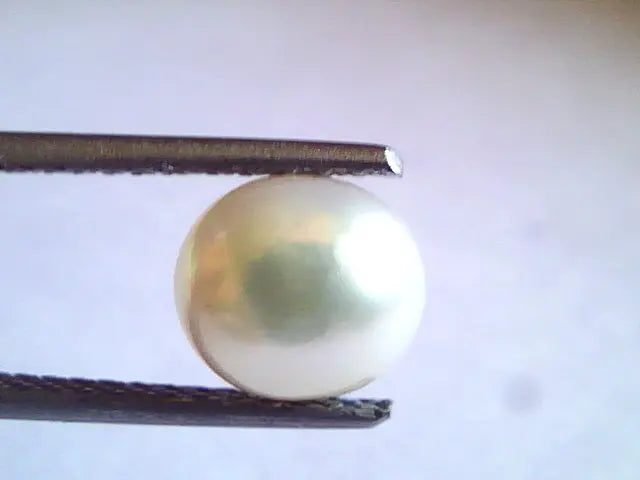 2.97 Ct,5.74 Chaw Natural Basra Pearl,Real Basra Moti Certified