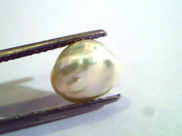 2.99 Carat Certified Natural Keshi Pearl,Certified Moti