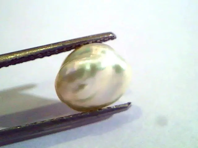 2.99 Carat Certified Natural Keshi Pearl,Certified Moti