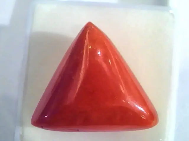 Huge 21.61 Ct Untreated Natural Italian Triangle Red Coral AAA