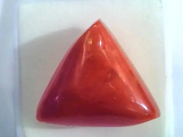 Huge 21.61 Ct Untreated Natural Italian Triangle Red Coral AAA