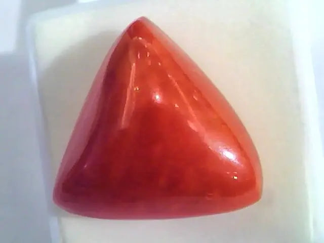 Huge 22.70 Ct Untreated Natural Italian Triangle Red Coral AAA