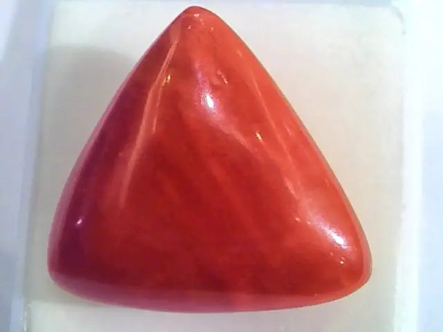 Huge 22.70 Ct Untreated Natural Italian Triangle Red Coral AAA