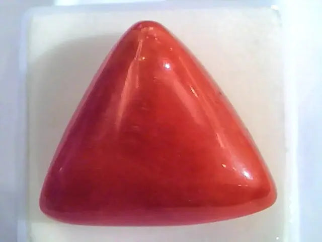 Huge 24.30 Ct Untreated Natural Italian Triangle Red Coral AAA