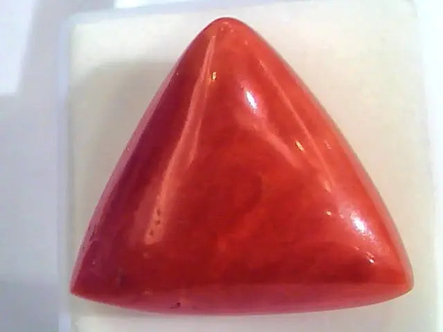 Huge 24.30 Ct Untreated Natural Italian Triangle Red Coral AAA