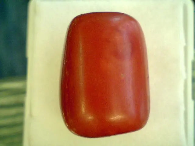 Huge 24.18 Carat Natural Red Italian Coral Rare And Exclusive