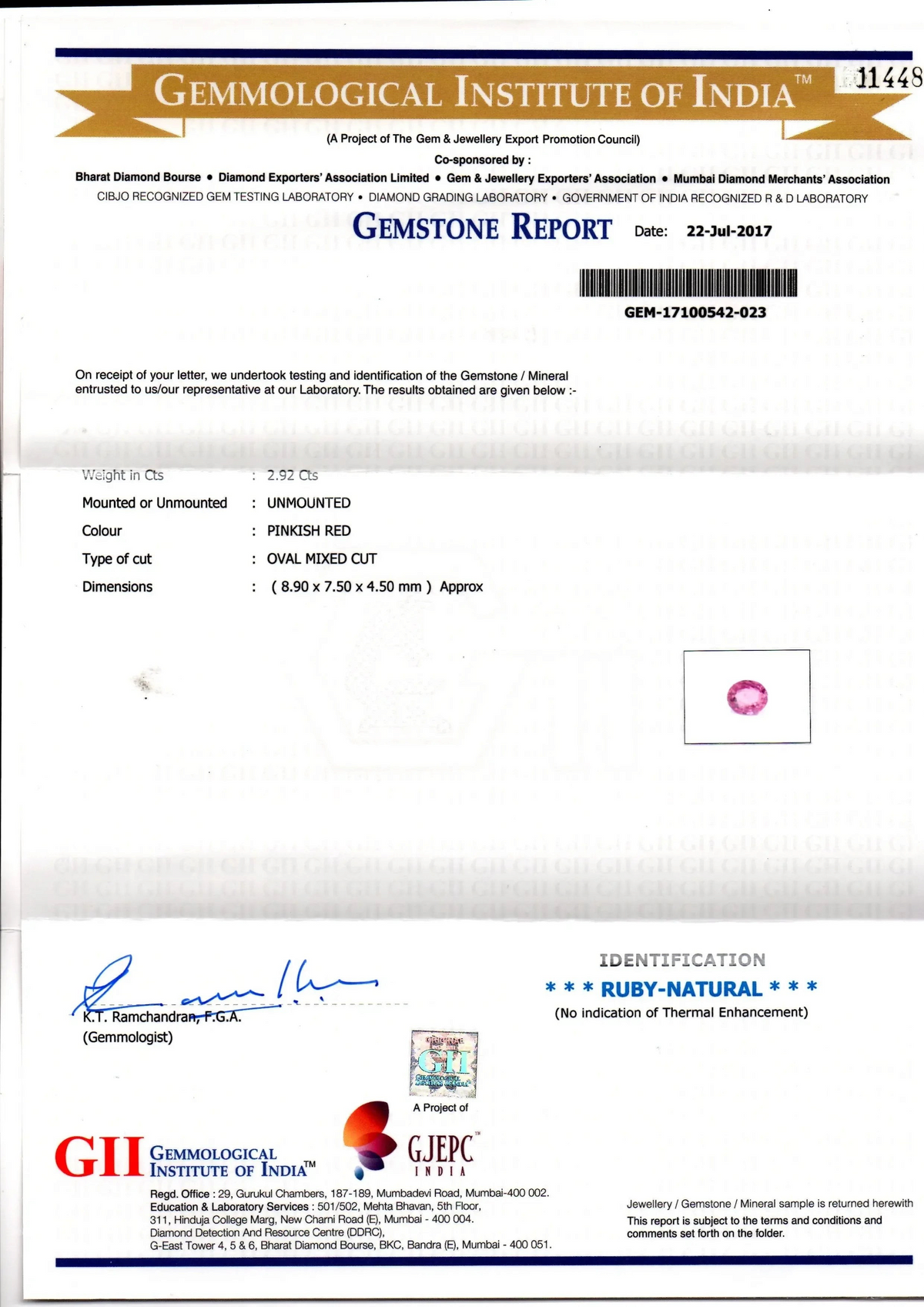 2.92 Ct GII Certified Unheated Untreated Natural Madagaskar Ruby AAAA - Venus Gems