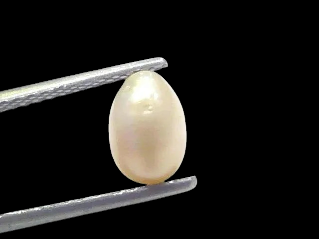 2.09 Ct Certified Natural Venunjula Real Sea Pearl Real Moti For Moon - Venus Gems