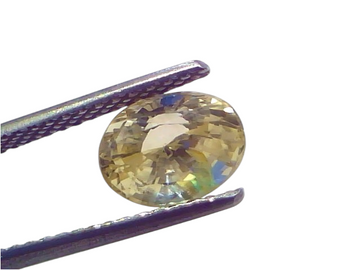 Oval-shaped 2.55 Ct Certified Unheated Natural Ceylon Yellow Sapphire held with tweezers, showcasing its brilliance and clari