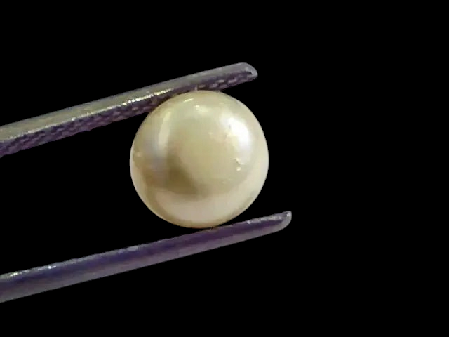 2.79 Ct,5.07 Chaw Natural Basra Pearl,Real Basra Moti Certified - Venus Gems