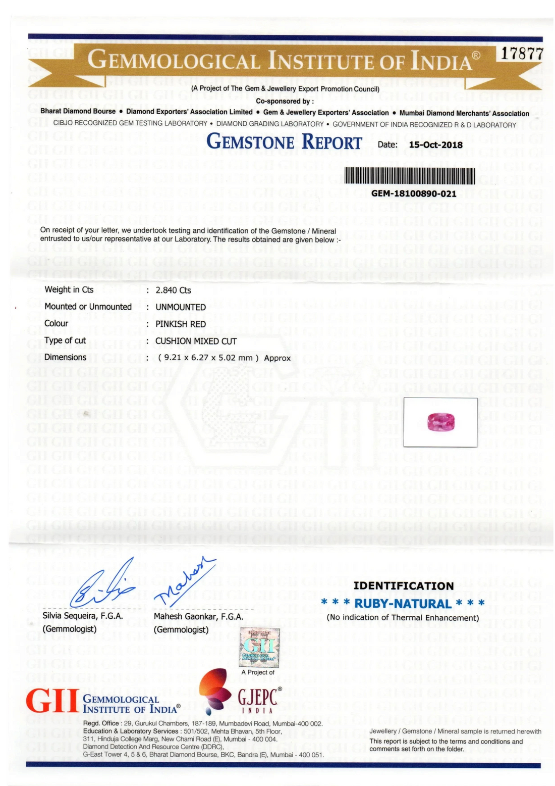 2.84 Ct GII Certified Unheated Untreted Natural Madagaskar Ruby AAA - Venus Gems