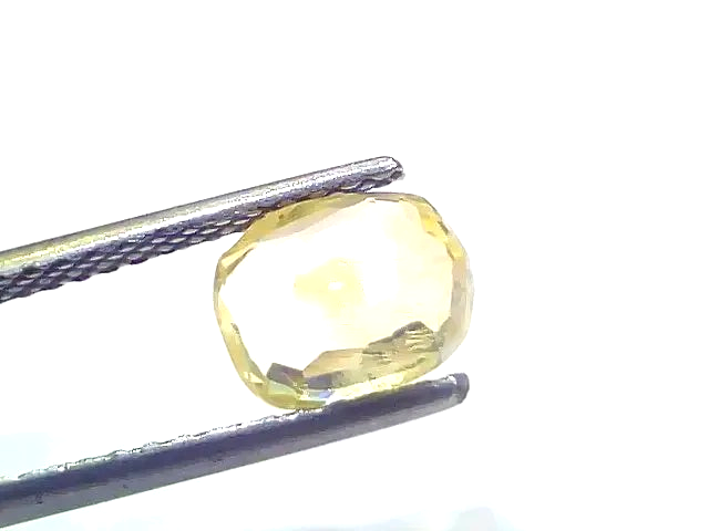 2.26 Ct Certified Unheated Untreated Natural Ceylon Yellow Sapphire - Venus Gems