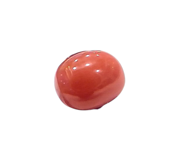 Natural untreated Italian red coral gemstone, 2.74 Ct, smooth oval shape, vibrant red color, held with tweezers.