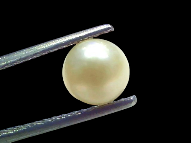 Venus Gems 2.19 carat natural round white South Sea pearl held by tweezers, showcasing excellent natural luster.