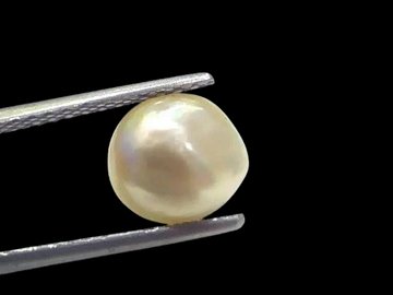 2.68 Ct Certified Natural Venunjula Real Sea Pearl Real Moti For Moon - Venus Gems
