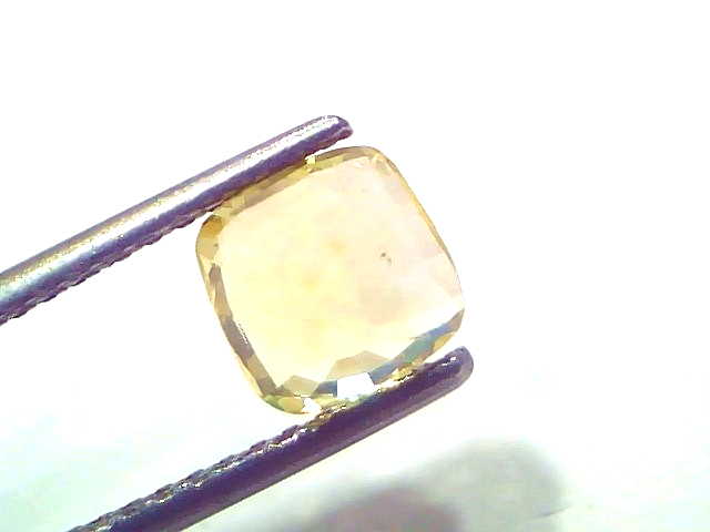 2.02 Ct Certified Unheated Natural Ceylon Yellow Sapphire Pukhraj displayed in tweezers, showcasing its brilliant yellow hue