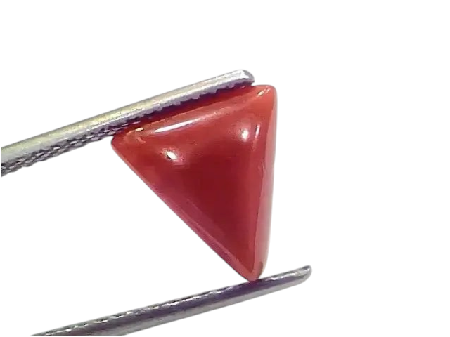 2.81 Ct 3.08 Ratti Natural Italian Triangle Red Coral Moonga Gemstone - Venus Gems