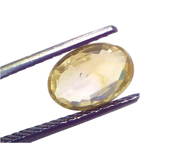 2.72 Ct Certified Unheated Natural Ceylon Yellow Sapphire Pukhraj displayed in tweezers, showcasing its oval cut and vibrant