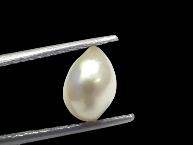 2.70 Ct Certified Natural Venunjula Real Sea Pearl Real Moti For Moon - Venus Gems