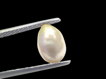 2.20 Ct Certified Natural Venunjula Real Sea Pearl Real Moti For Moon - Venus Gems