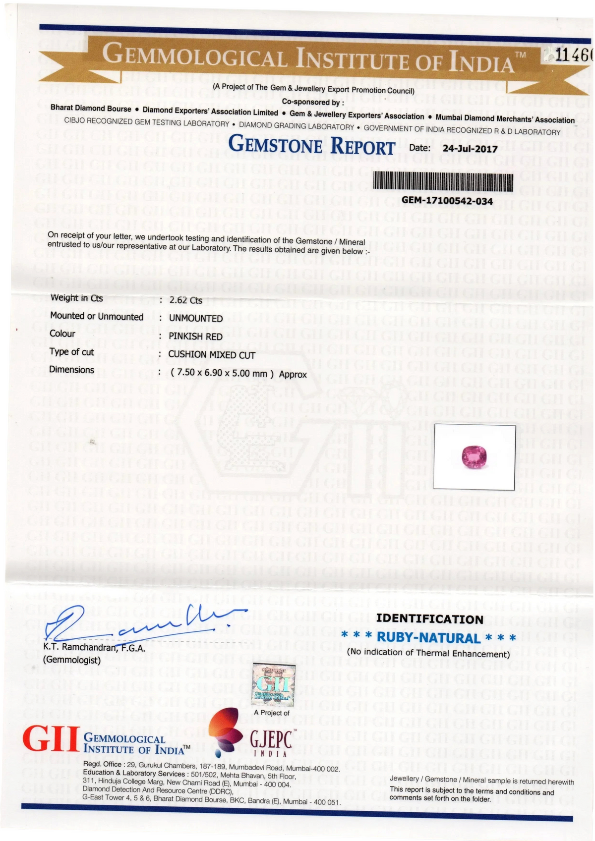 2.62 Ct GII Certified Unheated Untreted Natural Madagaskar Ruby AAA - Venus Gems