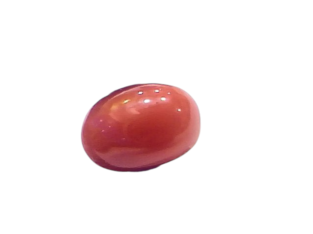Natural untreated Italian red coral gemstone, 2.72 Ct, displayed with tweezers on a white background.