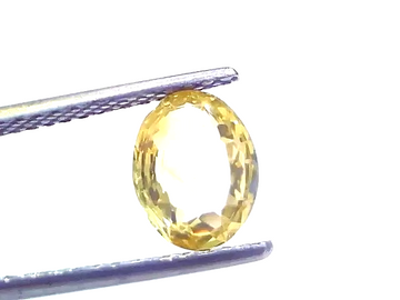 2.09 Ct Certified Unheated Untreated Natural Ceylon Yellow Sapphire - Venus Gems