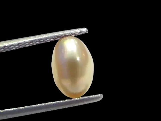 2.68 Ct Certified Natural Venunjula Real Sea Pearl Real Moti For Moon - Venus Gems