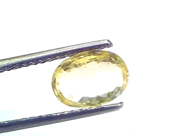 2.27 Ct Certified Unheated Untreated Natural Ceylon Yellow Sapphire - Venus Gems