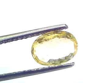 2.27 Ct Certified Unheated Untreated Natural Ceylon Yellow Sapphire - Venus Gems