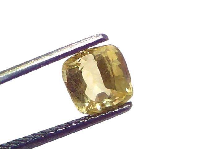 2.02 Ct Certified Unheated Natural Ceylon Yellow Sapphire Pukhraj displayed in tweezers, showcasing its brilliant yellow hue