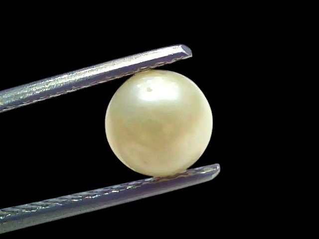 Venus Gems 2.19 carat natural round white South Sea pearl held by tweezers, showcasing excellent natural luster.