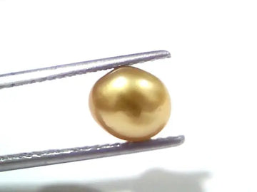3.00 Ct Certified Natural Venunjula Real Sea Pearl, Real Moti