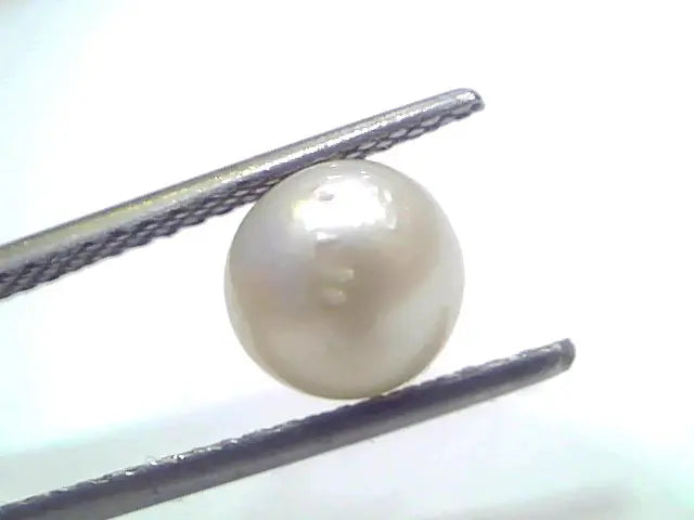 3.22 Ct Natural Certified Real South Sea Pearl Certified Moti