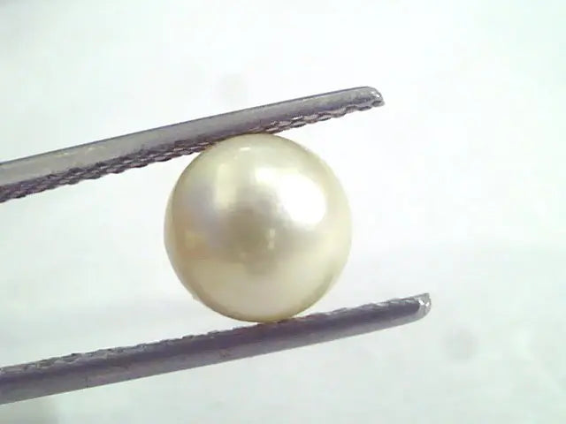 3.00 Ct Natural Certified Real South Sea Pearl,Certified Moti