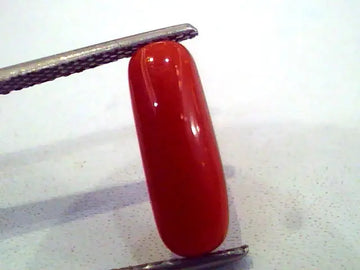 3.01 Carat Natural Italian Red Coral Moonga Gemstone