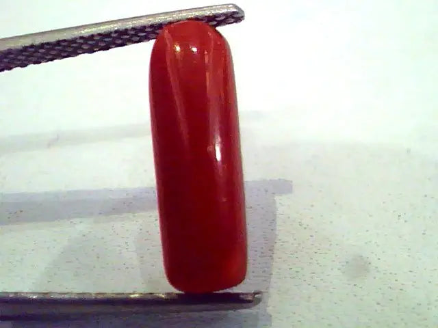 3.01 Carat Natural Italian Red Coral Moonga Gemstone