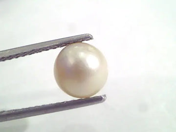 3.00 Ct Natural Certified Real South Sea Pearl,Moti