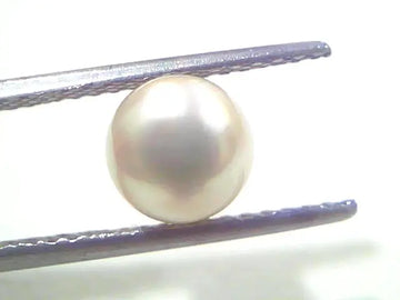 3.02 Ct 5.94 Chaw Natural Basra Pearl Real Basra Moti Certified