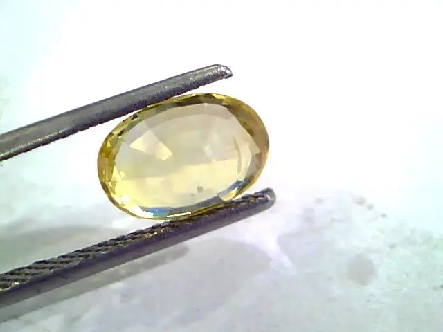 3.03 Ct Unheated Untreated Natural Ceylon Yellow Sapphire Gemstone