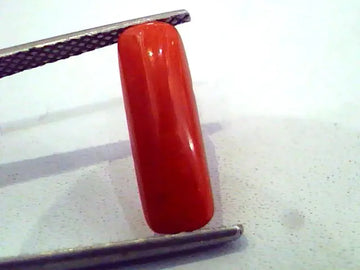 3.03 Carat Natural Italian Red Coral Moonga Gemstone