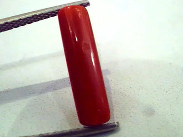 3.03 Carat Natural Italian Red Coral Moonga Gemstone