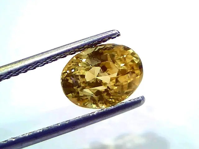 3.05 Ct IGI Certified Unheated Untreated Natural Ceylon Yellow Sapphire AAA