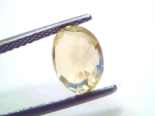 3.05 Carat 3.35 Ratti IGI Certified Unheated Ceylon Yellow Sapphire Pukhraj Stone