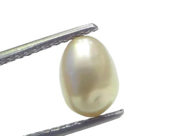 3.06 Ct Certified Natural Venunjula Real Sea Pearl Real Moti For Moon - Venus Gems