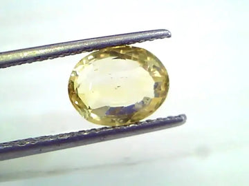 3.07 Ct 5 Ratti Unheated Untreated Natural Srilankan Yellow Sapphire