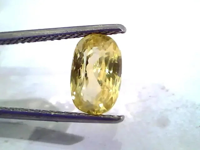 3.08 Ct Unheated Untreated Natural Ceylon Yellow Sapphire Gemstone - Venus Gems