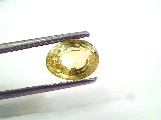 3.10 Ct 5.25 Ratti Unheated Untreated Natural Ceylon Yellow Sapphire